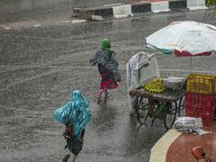 Weather Update : राज्यातील 'या' भागात अवकाळी पावसाची शक्यता, दाट धुके पडणार, तुमच्या भागातील पावसाची स्थिती जाणून घ्या