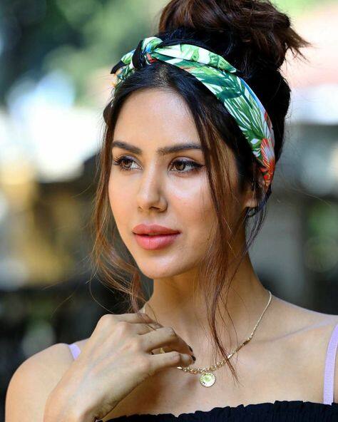 ਸੋਨਮ ਬਾਜਵਾ ਪੰਜਾਬੀ ਇੰਡਸਟਰੀ ਦੀ ਟੌਪ ਅਭਿਨੇਤਰੀ ਹੈ। ਉਸ ਦੀਆਂ ਲਗਾਤਾਰ ਦੋ ਫਿਲਮਾਂ ਬੈਕ ਟੂ ਬੈਟ ਸੁਪਰਹਿੱਟ ਰਹੀਆਂ ਹਨ। 'ਕੈਰੀ ਆਨ ਜੱਟਾ 3' 100 ਕਰੋੜ ਦੀ ਕਮਾਈ ਤੋਂ ਪਾਰ ਹੋ ਚੁੱਕੀ ਹੈ। ਇਸ ਦੇ ਨਾਲ ਨਾਲ 'ਗੋਡੇ ਗੋਡੇ ਚਾਅ' ਨੇ ਵੀ ਜ਼ਬਰਦਸਤ ਕਮਾਈ ਕੀਤੀ ਸੀ। ਇਨ੍ਹਾਂ ਫਿਲਮਾਂ ਦੀ ਕਾਮਯਾਬੀ ਨੇ ਸੋਨਮ ਨੂੰ ਪੰਜਾਬੀ ਸਿਨੇਮਾ ਦੀ ਟੌਪ ਕਲਾਸ ਅਭਿਨੇਤਰੀ ਬਣਾ ਦਿੱਤਾ ਹੈ।