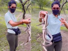 Viral Video: ਦੇਖੋ ਹਸੀਨਾ ਦੀ ਹਿੰਮਤ! ਸੱਪਾਂ ਨਾਲ ਬੱਚਿਆਂ ਵਾਂਗ ਖੇਡਦੇ ਦੇਖ ਦੰਗ ਰਹਿ ਗਏ ਲੋਕ