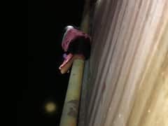 செல்ஃபி எடுப்பதாக காதலி, ஒரு வயது குழந்தையை ஆற்றில் தள்ளிய காதலன்.. ஆந்திராவில் அதிர்ச்சி சம்பவம்..