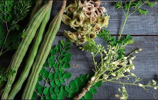 Shahjan Benefits : ਸਿਹਤ ਲਈ ਵਰਦਾਨ ਹੈ ਇਹ ਪੌਦਾ, 300 ਤੋਂ ਵੱਧ ਗੰਭੀਰ ਬਿਮਾਰੀਆਂ ਦਾ ਕਰਦੈ ਨਾਸ਼, ਜਾਣੋ ਇਸ ਦੇ ਫ਼ਾਇਦੇ