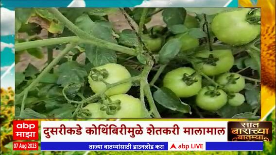 Saat Barachya Batmya :  टॉमेटोच्या शेतावर सीसीटीव्हीची नजर ते अवकाळी पावसामुळे शेतीचं नुकसान