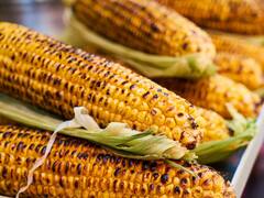 क्या डायबिटीज के मरीजों को भुट्टा खाना चाहिए या नहीं? एक्सपर्ट से जानें जवाब