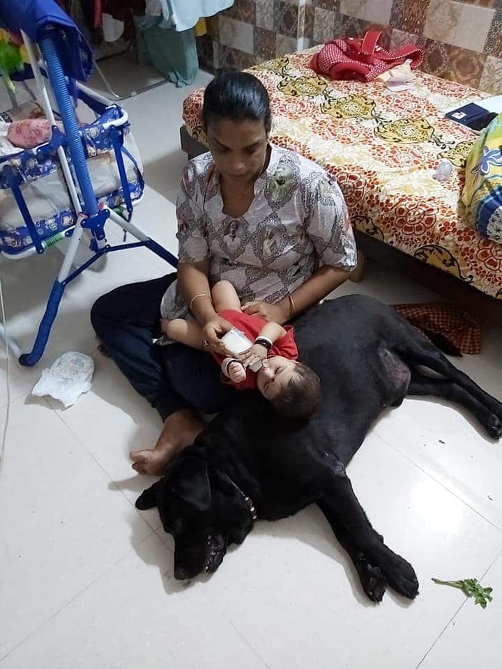 श्रीगौरी का उनका असली नाम गणेश नंदन था. लेकिन जब उन्होंने खुद को समझ तो इस बात की जानकारी अपने घरवालों की दी. वहीं गौरी की बात सुनकर उनके पिता काफी ज्यादा नाराज हुए थे.