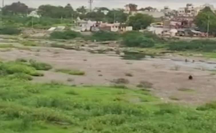Maharashtra news Dhule News 47 percent less rain this year compared to last year in Dhule district Dhule Rain Update : मागील वर्षी आतापर्यंत 285 मिलिमीटर पाऊस, यंदा मात्र अवघा 177 मिलिमीटर पाऊस 