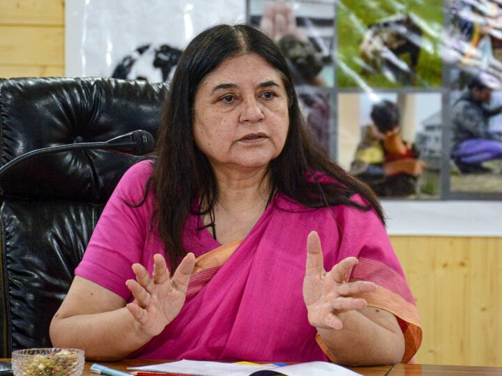 आगामी लोकसभा चुनाव 2024 के समर में दो गठबंधन एनडीए और इंडिया के बीच कड़ा मुकाबले होने का अनुमान है. जिसको लेकर तैयारियां तेज है. इस बीच द डेली गार्डियन ने सुल्तानपुर लोकसभा सीट से BJP सांसद मेनका गांधी को लेकर सर्वे किया है.