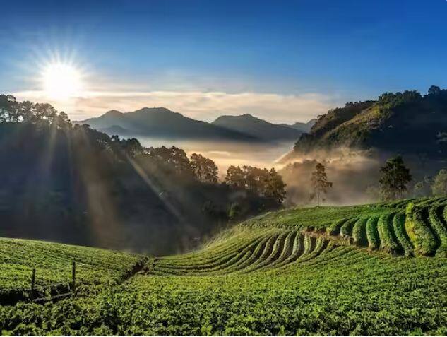 IRCTC Kerala Tour: ਭਾਰਤ ਦੇ ਦੱਖਣ ਵਿੱਚ, ਕੇਰਲ ਆਪਣੀ ਸੁੰਦਰਤਾ ਲਈ ਦੇਸ਼ ਅਤੇ ਦੁਨੀਆ ਵਿੱਚ ਬਹੁਤ ਮਸ਼ਹੂਰ ਹੈ। ਹਰ ਸਾਲ ਲੱਖਾਂ ਸੈਲਾਨੀ ਇੱਥੇ ਘੁੰਮਣ ਆਉਂਦੇ ਹਨ। IRCTC ਕੇਰਲ ਲਈ ਵਿਸ਼ੇਸ਼ ਟੂਰ ਪੈਕੇਜ ਲੈ ਕੇ ਆਇਆ ਹੈ।