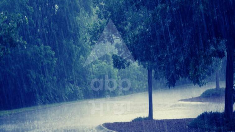 The risk of floods averted the water level in the dams decreased in Punjab Punjab Weather Update: ਹੜ੍ਹਾਂ ਦਾ ਖਤਰਾ ਟਲਿਆ, ਮੌਨਸੂਨ ਪਈ ਸੁਸਤ, ਡੈਮਾਂ 'ਚ ਪਾਣੀ ਦਾ ਪੱਧਰ ਘਟਿਆ