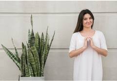 घर में ये 7 तरह के पौधे लगाने से मिलेगी शुद्ध औऱ साफ हवा