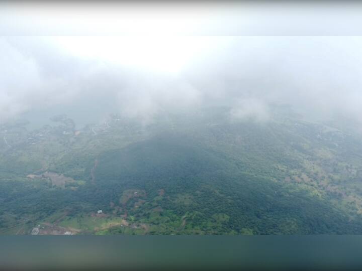 अशातच श्रावणातील ऊन-पावसाचा लपंडाव अन् यात धुक्याची मिळणारी साथ हा खेळ अक्षरशः डोळ्याचं पारणं फेडत आहे.