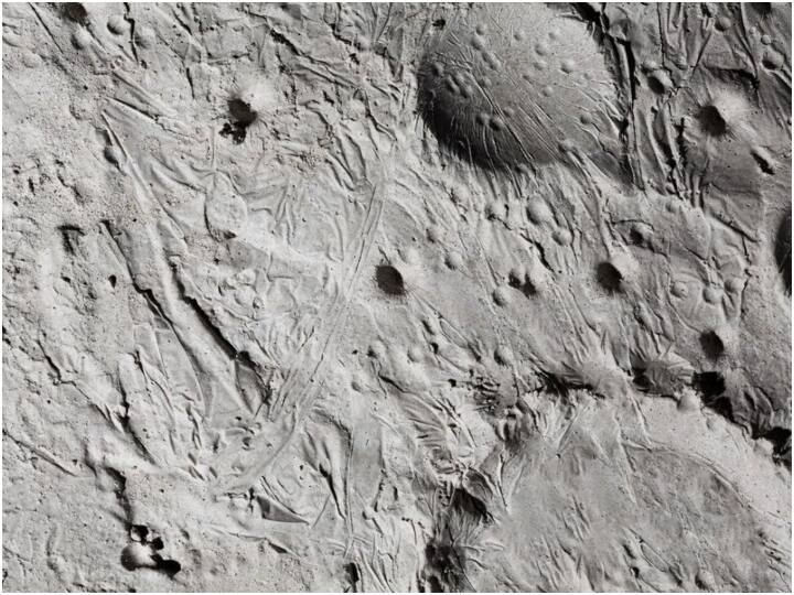 आपको लगता होगा कि चांद की धरती भी पृथ्वी के जैसी ही होगी, लेकिन ऐसा नहीं है. वहां के हालात काफी अलग हैं. नासा की वेबसाइट पर दी गई जानकारी के अनुसार चांद पर धरती की तरह ही मैदान, पहाड़ और घाटिया हैं और देखने में यहां सिर्फ रेगिस्तान ही लगता है.