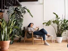 घर में ये 7 तरह के पौधे लगाने से मिलेगी शुद्ध औऱ साफ हवा