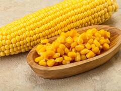 क्या डायबिटीज के मरीजों को भुट्टा खाना चाहिए या नहीं? एक्सपर्ट से जानें जवाब