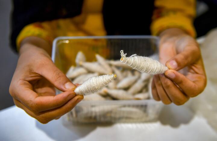 ভারতের গ্রাম ও মফস্বলের জীবন-জীবিকা, নীতি-বিচার এবং যাপনের সঙ্গে জড়িয়ে রয়েছে তাঁত। যার মধ্যে দিয়ে ফুটে ওঠে ভারতের যত্নে লালন করা বৈচিত্র্য।