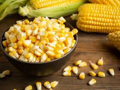 क्या डायबिटीज के मरीजों को भुट्टा खाना चाहिए या नहीं? एक्सपर्ट से जानें जवाब