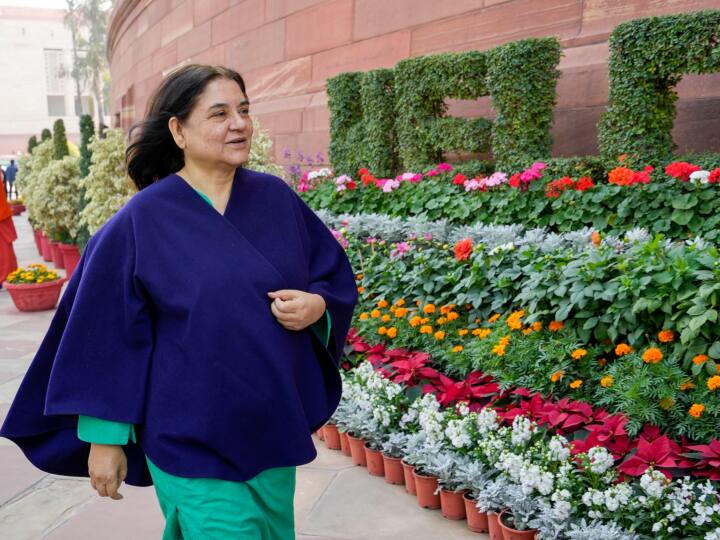 वर्तमान में मेनका गांधी सुल्तानपुर लोकसभा सीट से सांसद है. इन्होंने 2019 में यहां से बीएसपी उम्मीदवार चंद्रभद्र सिंह को हराया था. सर्वे में सुल्तानपुर के सांसद के रूप में मेनका गांधी के प्रदर्शन का आकलन किया गया है.