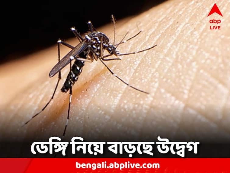 West Bengal Dengue Case North 24 Parganas prevalence of dengue is increasing WB Dengue: বাড়ছে ডেঙ্গির দাপট, আক্রান্তের সংখ্যার নিরিখে শীর্ষে উত্তর ২৪ পরগনা