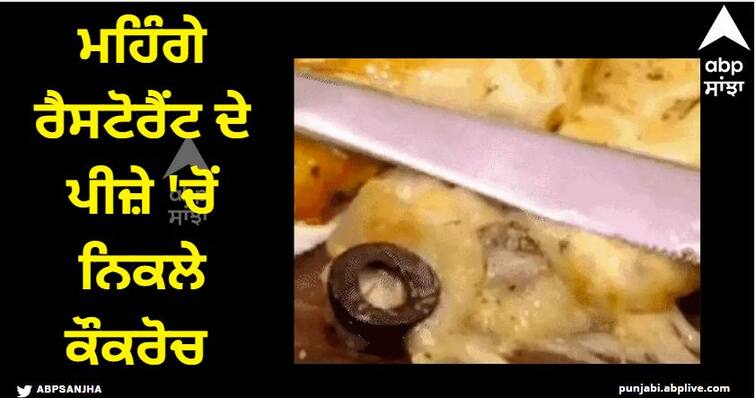 Ludhiana News  Cockroaches came out of expensive restaurant's pizza Ludhiana News: ਉੱਚੀ ਦੁਕਾਨ, ਫੀਕਾ ਪਕਵਾਨ! ਮਹਿੰਗੇ ਰੈਸਟੋਰੈਂਟ ਦੇ ਪੀਜ਼ੇ 'ਚੋਂ ਨਿਕਲੇ ਕੌਕਰੋਚ