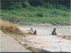 उत्तराखंड के रामनगर में बरसाती नाले में बहे तीन युवक, बाल-बाल बची जान