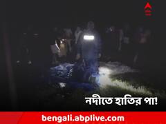 কাটা মাথার পর নদীর জলে এবার কাটা পা! কী হচ্ছে সংকোশে?
