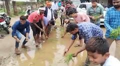 Chhattisgarh News: छत्तीसगढ़ में बारिश से सड़कों का बुरा हाल, लोगों ने सड़क पर की धान की रोपाई, देखें तस्वीरें