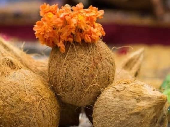 એકાક્ષી નાળિયેર: આ એક દુર્લભ નારિયેળ છે. ઘરમાં એકાક્ષી નાળિયેર રાખવાથી માતા લક્ષ્મીની કૃપા વરસે છે. એટલા માટે તેને ઘરમાં રાખવું શુભ માનવામાં આવે છે.