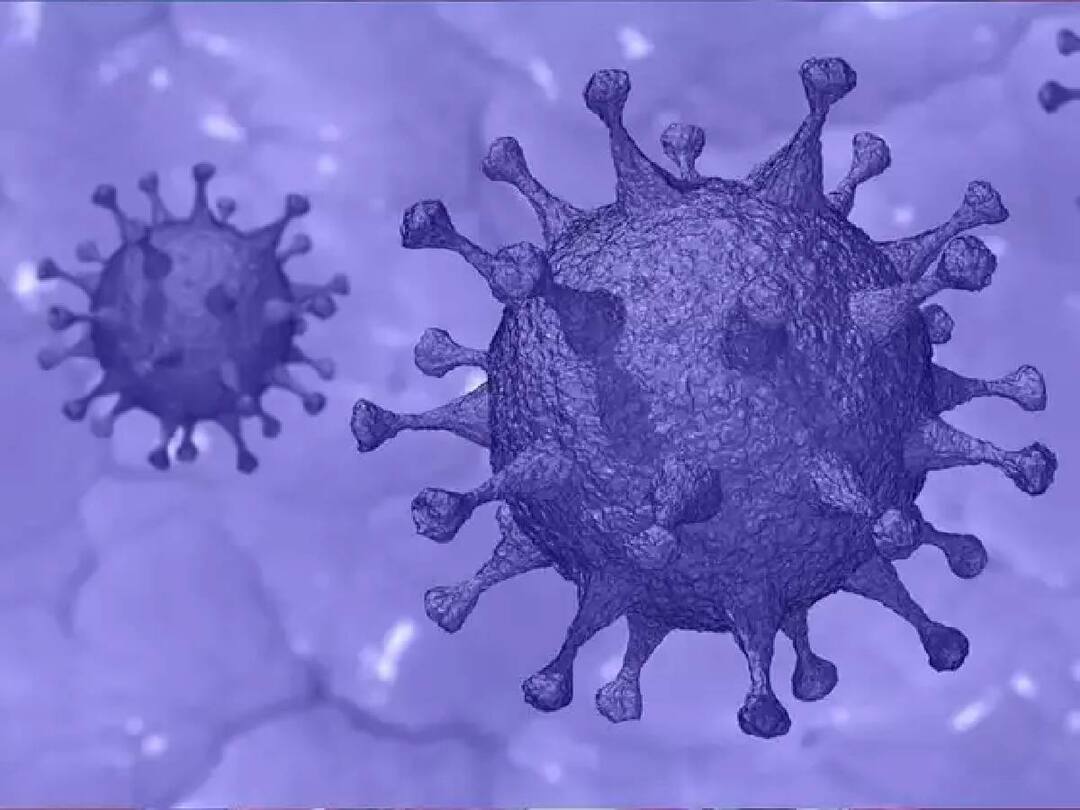Covid - Eris Variant: உலக நாடுகளை அச்சுறுத்தும் புதிய கொரோனா வகை.. இந்தியாவில் பரவும் அபாயம்? நிபுணர்கள் சொல்வது என்ன?