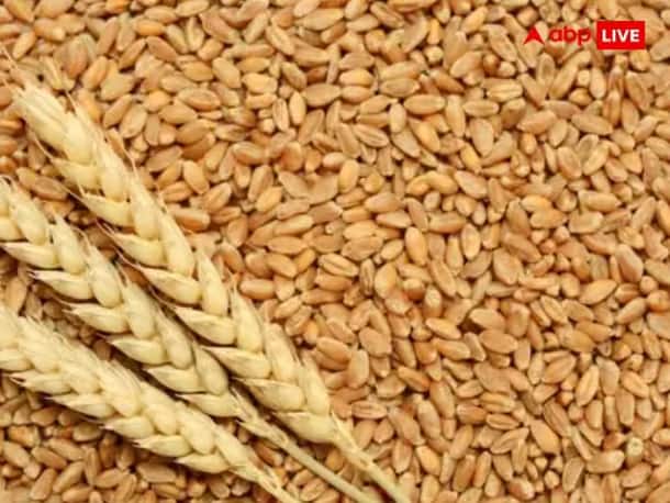 food inflation to control wheat prices fci sold 2.37mt wheat in open market know details महागाई नियंत्रीत ठेवण्यासाठी सरकारचा प्लॅन, गव्हाच्या बाबतीत उचललं 'हे' मोठं पाऊल