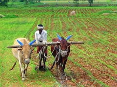 Schemes for Farmers: મોદી સરકાર ખેડૂતો પર મહેરબાન, તહેવારો પહેલા ભેટોનો વરસાદ, આ 4 જાહેરાતો ખૂબ કામની છે