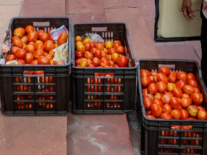 Tomato cultivation ruined to remove enmity now police will provide security in Karnataka Tomato Price Hike: दुश्मनी निकालने को बर्बाद कर दी टमाटर की खेती, अब कर्नाटक में पुलिस देगी सुरक्षा, जानें पूरा मामला