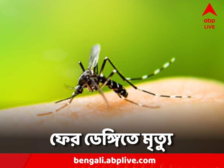 North 24 Parganas News 2 more people died due to dengue in Barasat municipality area Dengue Death: বাড়ছে ডেঙ্গি উদ্বেগ, বারাসাত পুর এলাকায় ফের মৃত্যু ২ জনের
