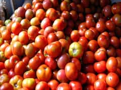 ஒரு கிலோ தக்காளி 50 ரூபாய்.. இந்த காய்கறிகளின் விலையும் குறைந்ததா? இன்றைய பட்டியல் இதோ.