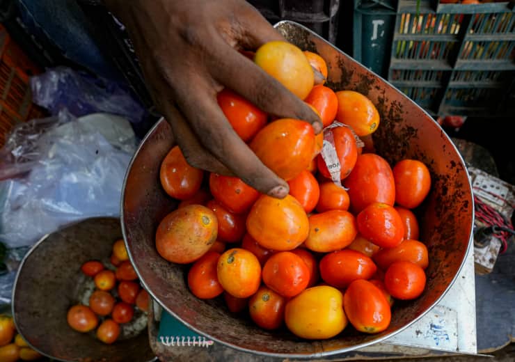 impact of tomato prices on people of Mumbai ground report ANN Tomato Price: मुंबई में टमाटर के प्राइज हाई, घर से लेकर मंडी तक कितना हुआ असर, पढ़ें ग्राउंड रिपोर्ट