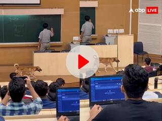 Video: IIT बॉम्बे में क्लास चल रही थी, स्टूडेंट्स पढ़ रहे थे! तभी अंदर घुस गया कुत्ता और....