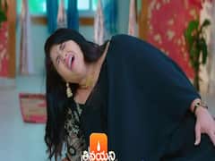 త్రినయని సీరియల్: గాయత్రి కి ఏం జరుగుతుందోనన్న భయంలో విశాల్, కాళ్లు జారి కింద పడ్డ తిలోత్తమా?