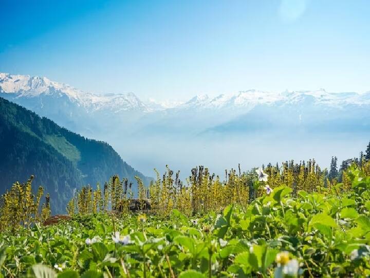 IRCTC Arunachal Tour: भारतीय रेलवे का आईआरसीटीसी समय-समय पर देश के अलग-अलग हिस्सों के लिए कई तरह के टूर पैकेज लेकर आता है. आज हम आपको इसके अरुणाचल टूर के बारे में जानकारी दे रहे हैं.