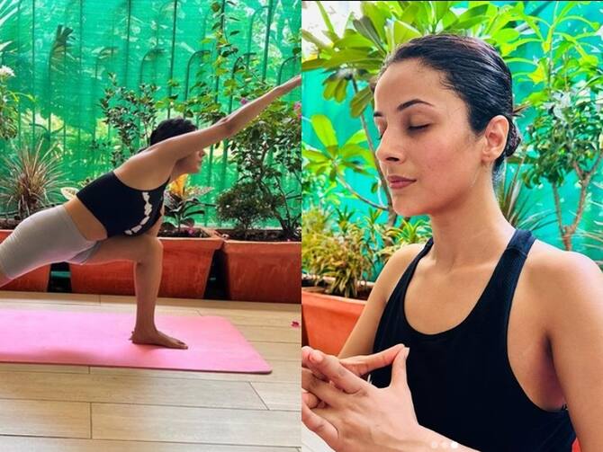 बेहद खूबसूरत शहनाज गिल प्योर ब्यूटी हैं. सोशल मीडिया पर अक्सर वे अपनी तस्वीरें शेयर कर अपने फैंस को मैस्मराइज करती हैं. बिग बॉस शो में उन्हें आपने चुलबुले अंदाज में देखा होगा. लेकिन तब से लेकर अब तक वे अपना वजन काफी घटा चुकी हैं. अब शहनाज स्लिम ट्रिम बन गई हैं. बिना जिम गए उन्होंने इस फिगर को अचीव किया है. 6 महीनों में उन्होंने 12 किलो वजन घटाया था, जब वे बिग बॉस से बाहर आई थीं. उन्होंने बताया था कि बस उन्होंने चॉकलेट्स और आइस्क्रीम खाना बंद कर दिया था और लगातार योगा किया था.