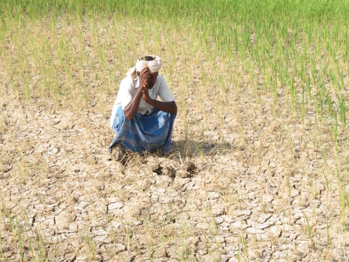 Nagai farmers demand to get water from Karnataka as there is a risk of food famine TNN நீரின்றி கருகும் பயிர்கள்; உணவு பஞ்சம் ஏற்படும் அபாயம் - கர்நாடகாவில் இருந்து நீரை பெற்று தர விவசாயிகள் கோரிக்கை