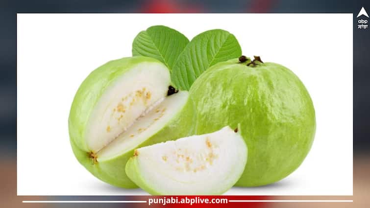 Health Benefits of Guava:Guava 5 big advantages that will surprise you Health Benefits of Guava: ਮਹਿੰਗੇ ਸੇਬਾਂ ਨੂੰ ਵੀ ਮਾਤ ਪਾਉਂਦਾ ਅਮਰੂਦ! ਹੈਰਾਨ ਕਰ ਦੇਣਗੇ 5 ਵੱਡੇ ਫਾਇਦੇ