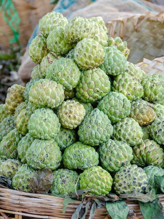 इस तरह से रामफल की खेती कर आप भी कमाएं तगड़ा मुनाफा