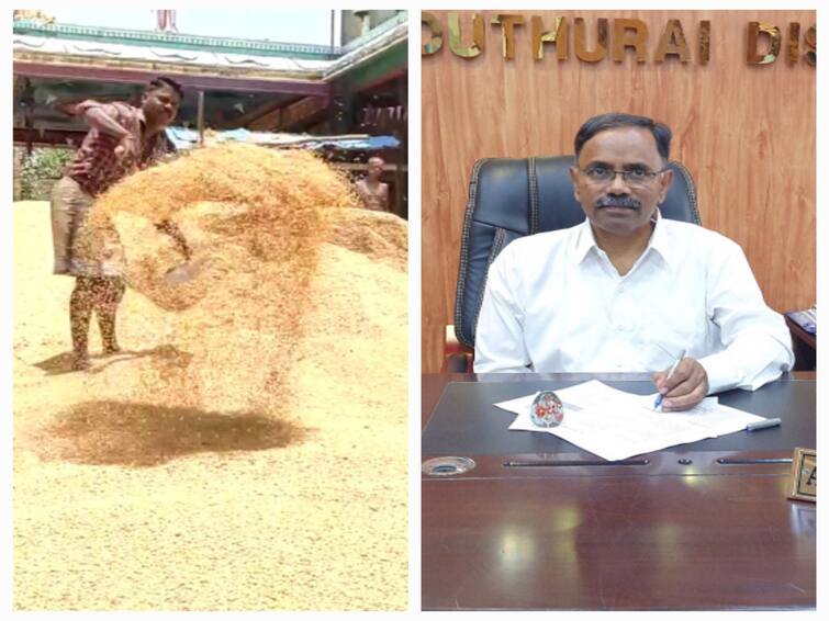 ABP NADU IMPACT District Collector Taken Steps to Open Government Direct Paddy Procurement Centre Mayiladuthurai TNN ABP NADU IMPACT: திறக்காத அரசு நேரடி நெல் கொள்முதல் நிலையம் - நடவடிக்கை எடுத்த ஆட்சியர் 