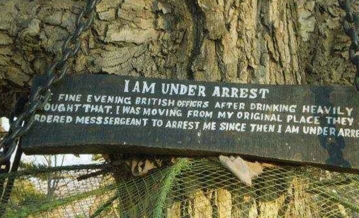 ঔপিবেশিক শাসন এবং শোষণের ভয়াবহ ইতিহাস যাতে বিস্মৃতির অতলে তলিয়ে না যায়, তার জন্যই গাছটিকে আজও সেই অবস্থাতেই রেখে দেওয়া হয়েছে। সকলে যাতে সেই ভয়াবহ ইতিহাস জানতে পারেন, তার জন্য ১২৫ বছর আগের ঘটনার বিবরণও দিয়েছে। গাছে ঝোলানো বোর্ডে লেখা রয়েছে, ‘আমি গ্রেফতার হয়েছি। এক সন্ধেয় নেশার ঘোরে একজন ইংরেজ সাহেবের মনে হয়, আমি আসল জায়গা ছেড়ে তাঁর দিকে এগোচ্ছি। তাই আমাকে গ্রেফতার করার নির্দেশ দেন। সেই থেকে গ্রেফতার হয়ে রয়েছি’।