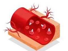 शरीर में ब्लड सर्कुलेशन बढ़ाने के लिए ये 7 उपाय अपनाएं