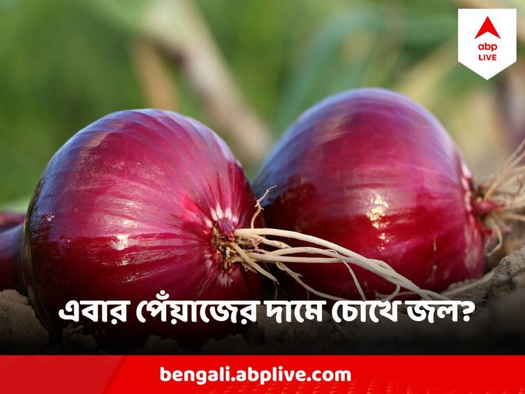 Onion Price May Increase After Tomato Price Hike Onion Price Hike : টোম্যাটোর পর এবার চোখে জল আনবে পেঁয়াজের দাম !