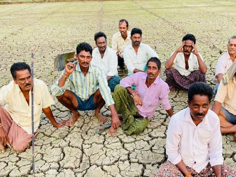 Kakinada Farmers Facing Problems With Beet Infestation in The Fields Kakinada Farmers: గోదావరి తీర ప్రాంత పొలాలకు బీటలు- కన్నీరు పెడుతున్న రైతులు