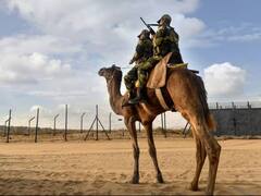 स्वतंत्रता दिवस से पहले सीमा सुरक्षा बल का 'ऑपरेशन अलर्ट', घुसपैठियों के खिलाफ तगड़ा एक्शन