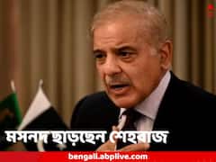 প্রাপ্য বুঝিয়ে দেবেন দাদাকে! আজই ইস্তফা দিতে পারেন শেহবাজ, পাকিস্তানে ফের নির্বাচনের প্রক্রিয়া শুরু