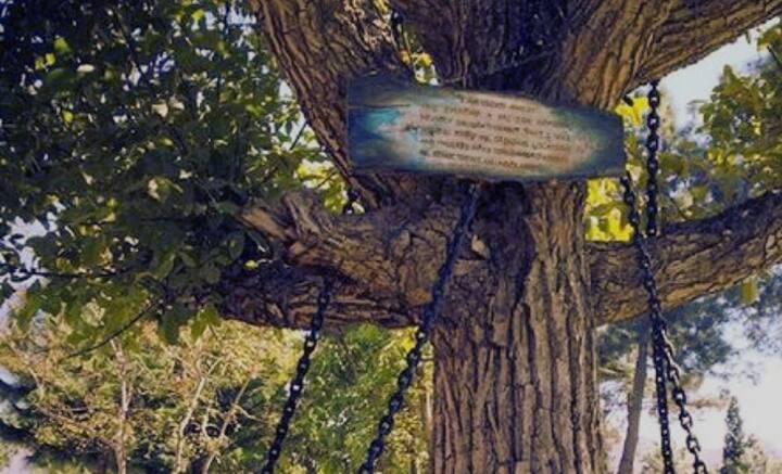 দেশভাগের পর লান্দি কোটাল এলাকায় মূলত আফ্রিদি উপজাতিদের বসবাস গড়ে ওঠে। ওই বটগাছটি সংরক্ষণ করার সিদ্ধান্ত নেন তাঁরা, যাতে পরবর্তী প্রজন্মও ইতিহাস জানতে পারে, বুঝতে পারে ঔপনিবেশিক শোষণের ভয়াবহতা।