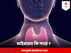 Thyroid: থাইরয়েড নিয়ে দুশ্চিন্তা ? আদৌ কি থাইরয়েড থেকে মুক্তি পাওয়া যায় কখনও ?