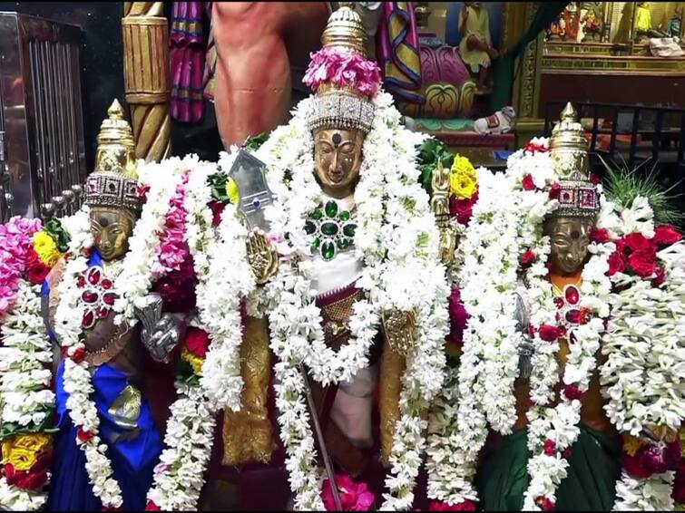 Aadi krithigai 2023: Puducherry Kausika Balamurugan murugan temple special pooja TNN Aadi Krithigai 2023: புதுச்சேரி கவுசிக பாலமுருகனுக்கு சிறப்பு அலங்காரம்... பக்தர்கள் நீண்ட வரிசையில் சாமி தரிசனம்